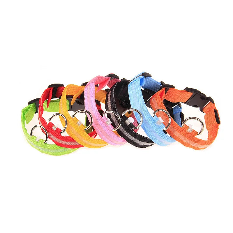 LED-Sicherheits-Hundeleine und Halsband-Set