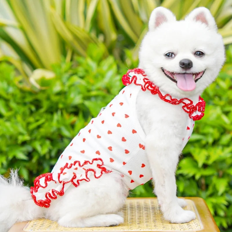 Floral Princess Pet Dress with Heart Print