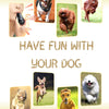 Zwei-in-Eins-Hundepfeife und Clicker für das Hundetraining