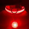 USB Charging Glowing Dog Collar with Pendant - Night Safety