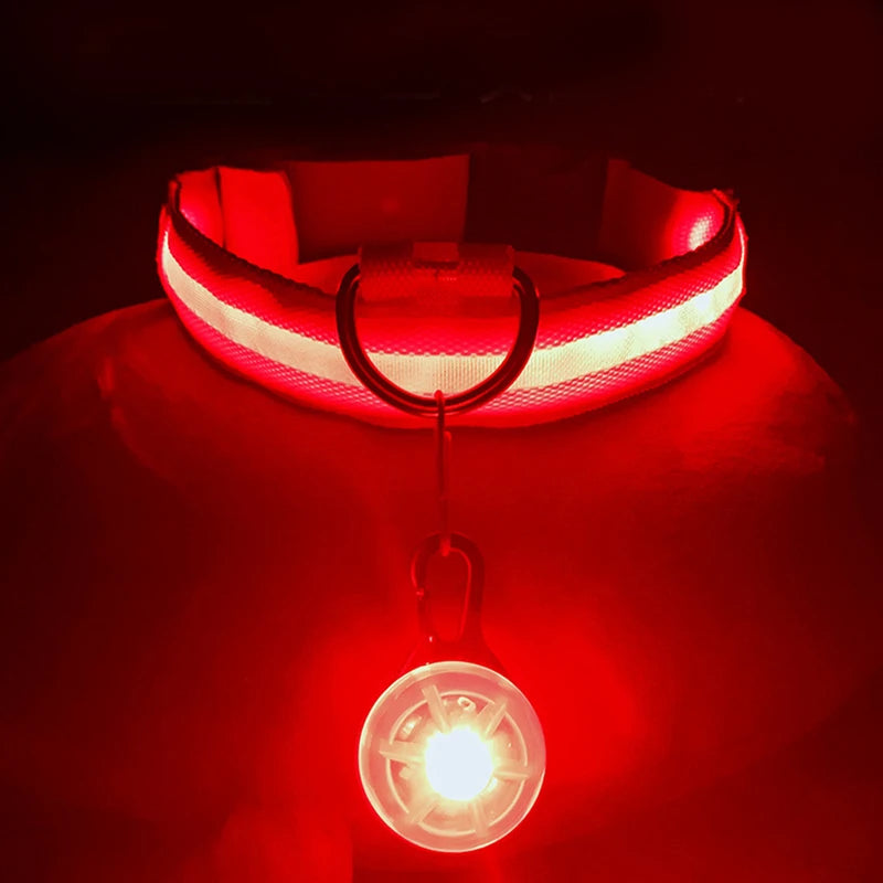 USB Charging Glowing Dog Collar with Pendant - Night Safety