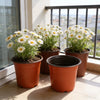 Plastic Plant Nursery Pots with Drainage Holes (Set of 10)