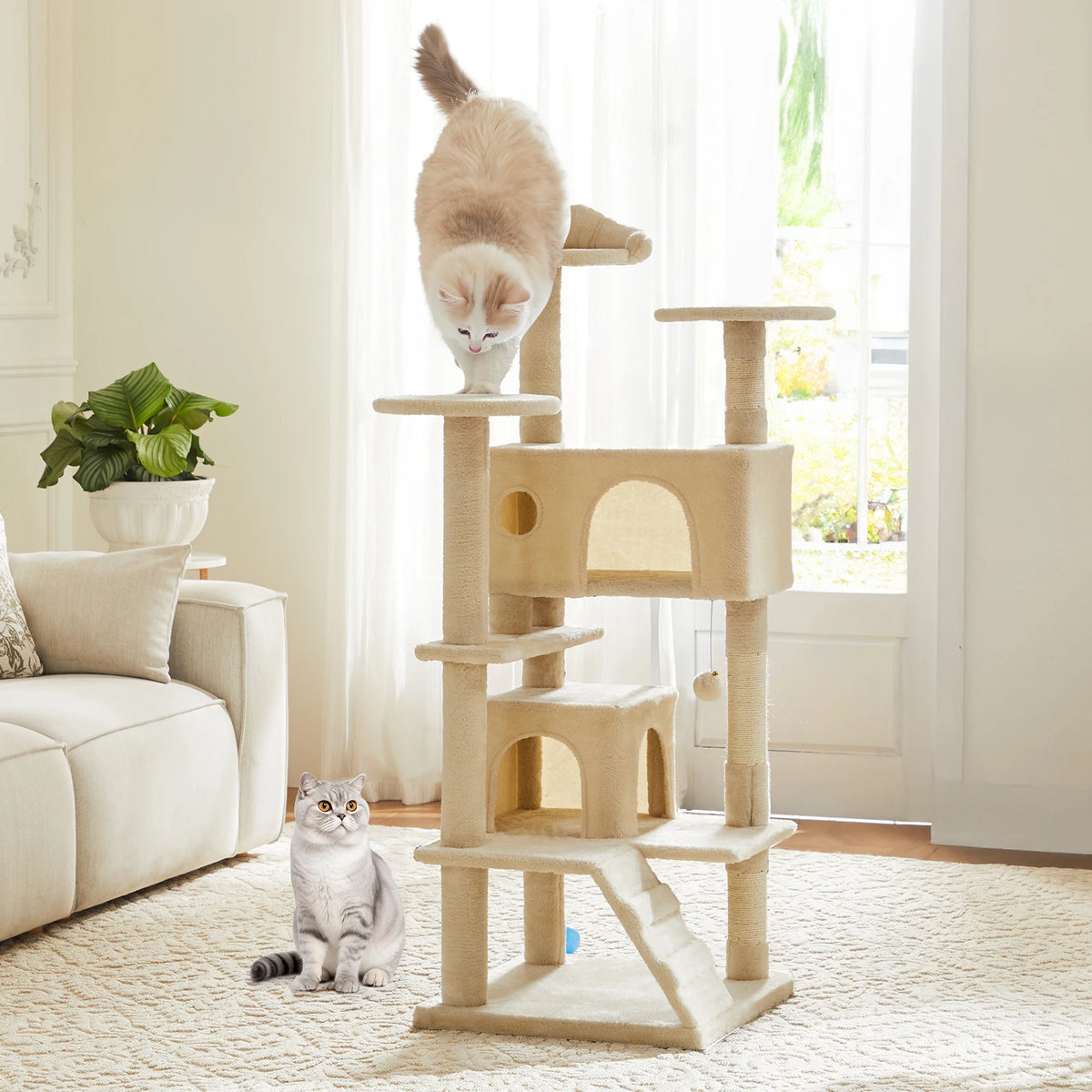 A multi-level cat tree with scratching posts and condos, featuring a fluffy orange kitten climbing the structure.