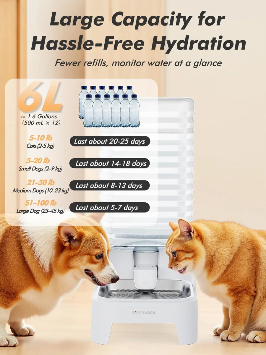 A white gravity pet water dispenser is shown with a stainless steel tray, next to two dogs.