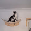 Wall-Mounted Cat Hammock and Climbing Stairs with Scratcher