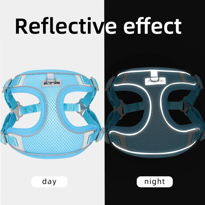 Dog Harness Leash Set with Reflective Strap for Small and Medium Dogs