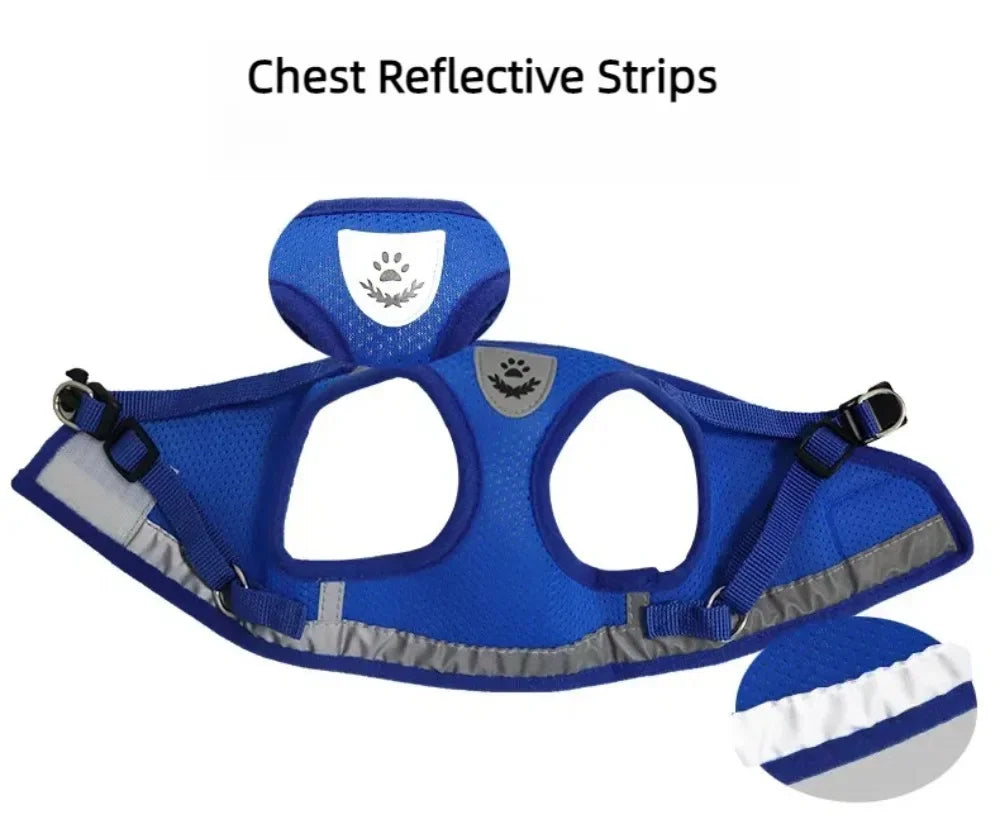 Adjustable Escape-Proof Mesh Harness and Leash Set for Cats and Small Dogs