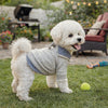 Preppy Style Two-Piece Dog Hoodie
