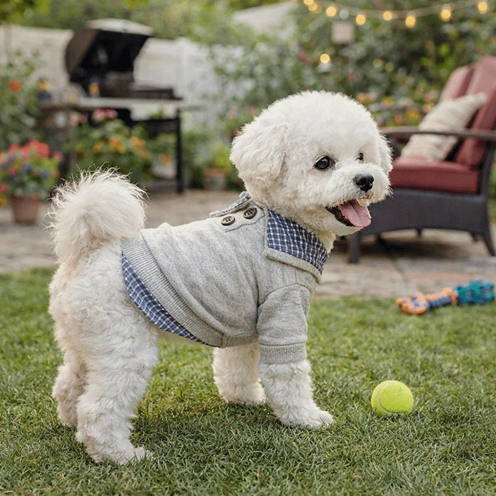 Preppy Style Two-Piece Dog Hoodie