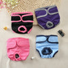 Reusable Dog Diapers for Heat Cycles and Incontinence