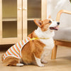 Adjustable Dog Diaper Pants with Suspenders