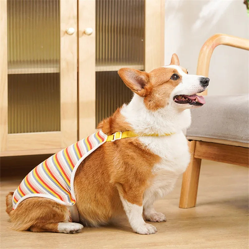 Adjustable Dog Diaper Pants with Suspenders