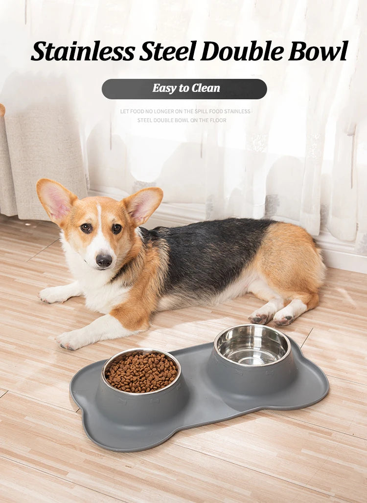 Bol double en acier inoxydable pour animaux avec base anti-débordement