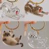 Eine Sammlung transparenter und fester Katzen-Anhänger als Schlüsselanhänger in verschiedenen Posen.