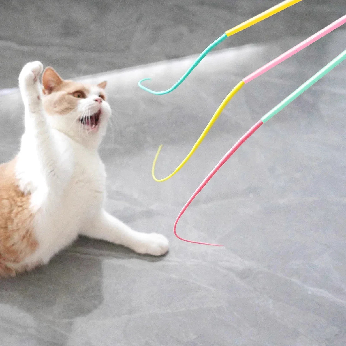 A fluffy orange and white cat looks up at a collection of colorful silicone cat teaser wands.