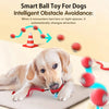Smart Interactive Dog Ball Toy