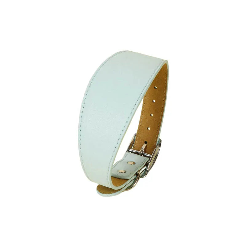 Wide Leather Dog Collar for Long-Necked Breeds