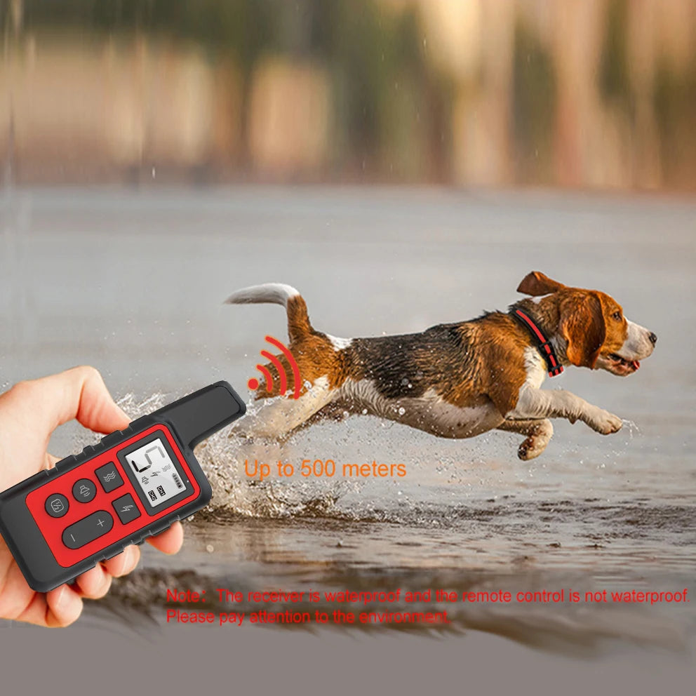 A hand holds a black remote control for a dog training collar, demonstrating its use over water.