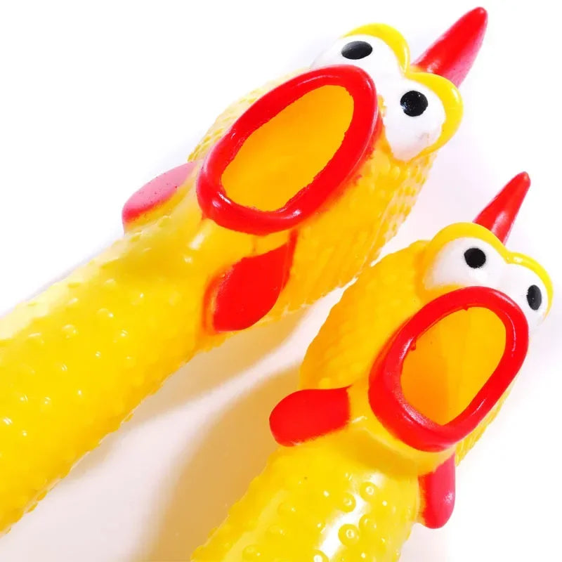 A bright yellow rubber chicken squeaky dog toy with red accents, shown in a close-up view.