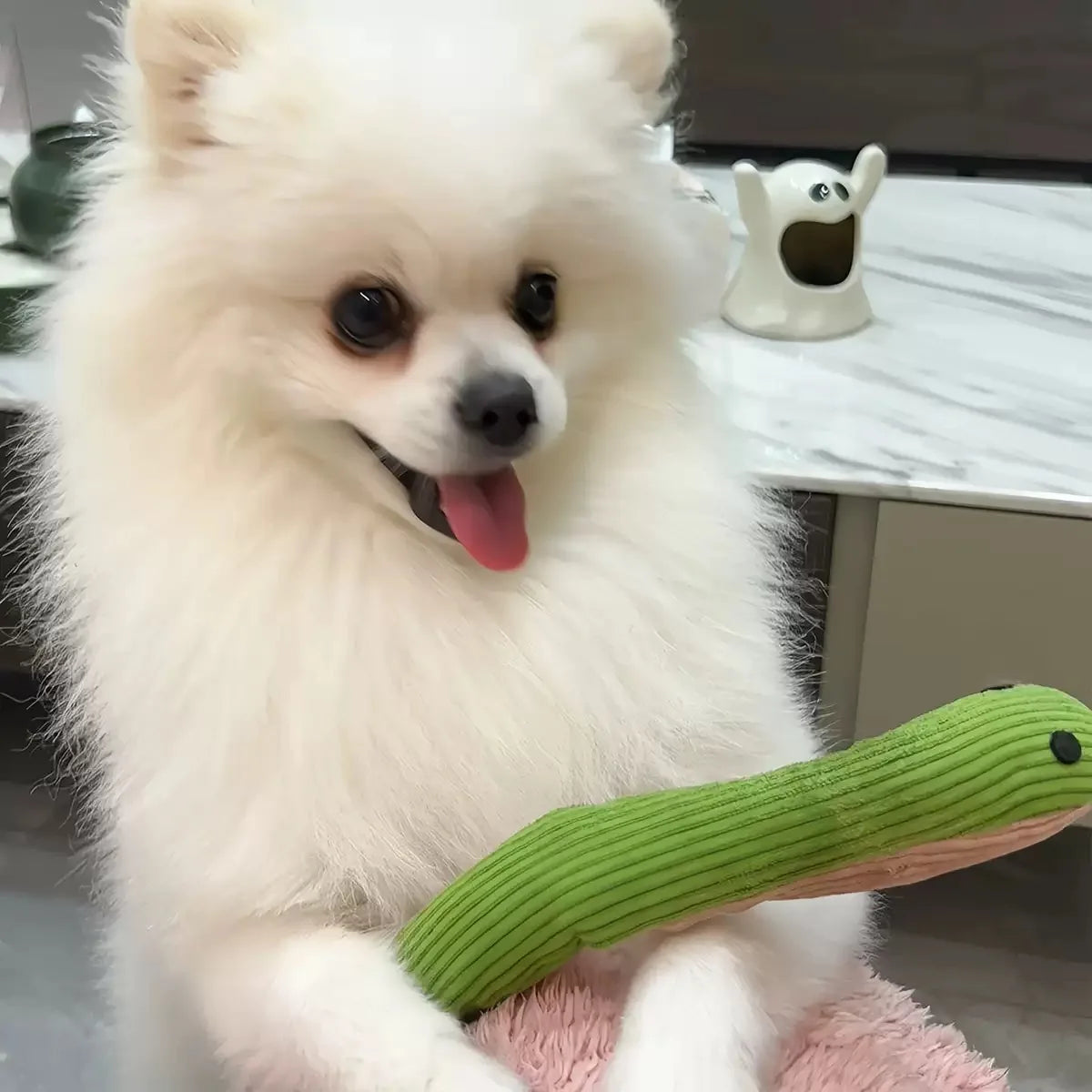 Crinkle Snake Toy for Cats and Small Dogs