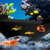 Underground Tunnel Aquarium Decor for Fish and Shrimp
