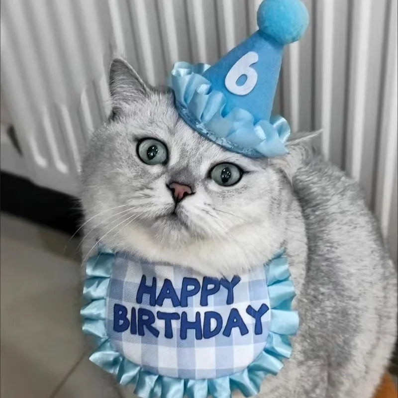 Happy Birthday Pet Party Hat and Bib Set