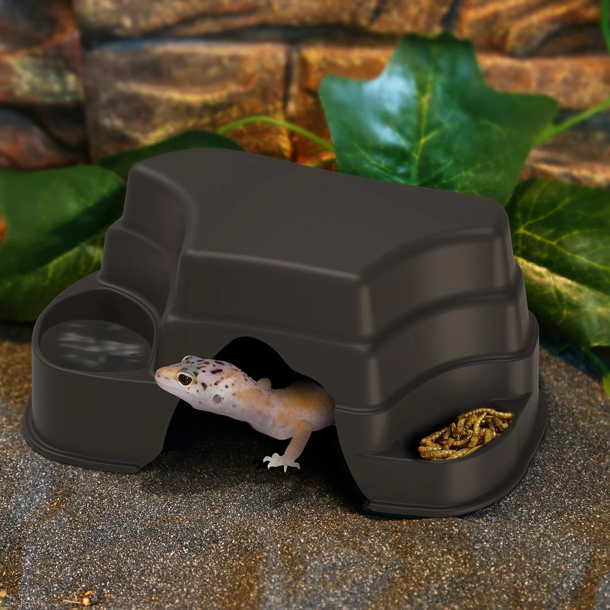 Reptile Hide Cave Decor with 2 Food Bowls