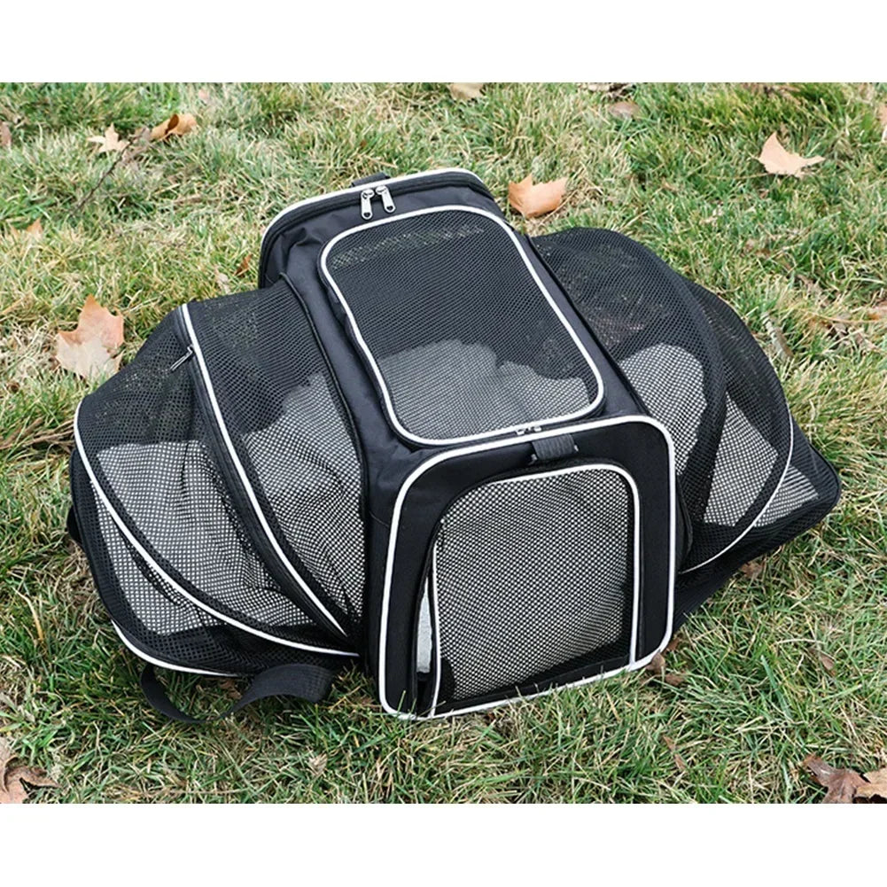 Black expandable pet carrier backpack with mesh openings and reflective trim placed on green grass.