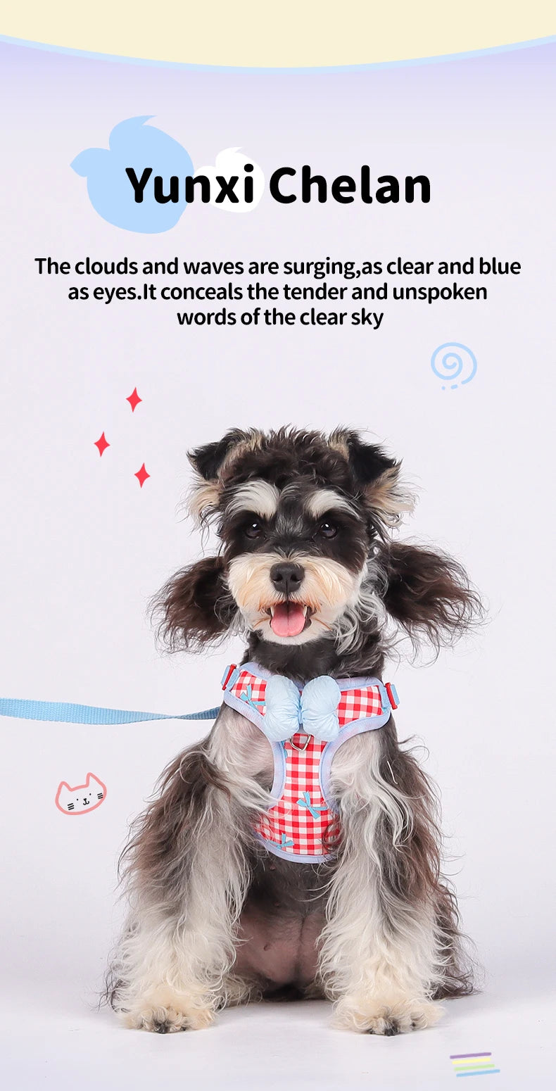 A small dog wearing a blue and red plaid harness with a bow, against a white background.