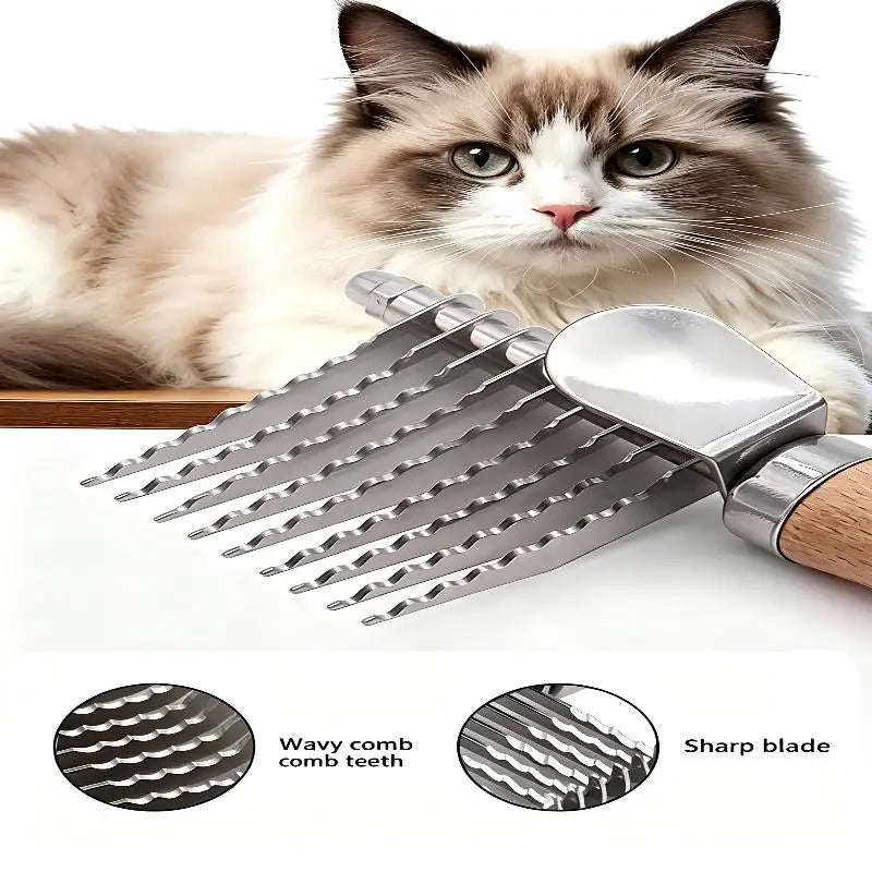 Un chat tigré duveteux repose à côté d'une brosse à peluches métallique à dents acérées et un manche en bois.