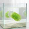 Turtle Shell Cleaning Brush with Feeding Ball