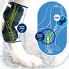 Dog Knee Support Brace for Arthritis and Joint Recovery