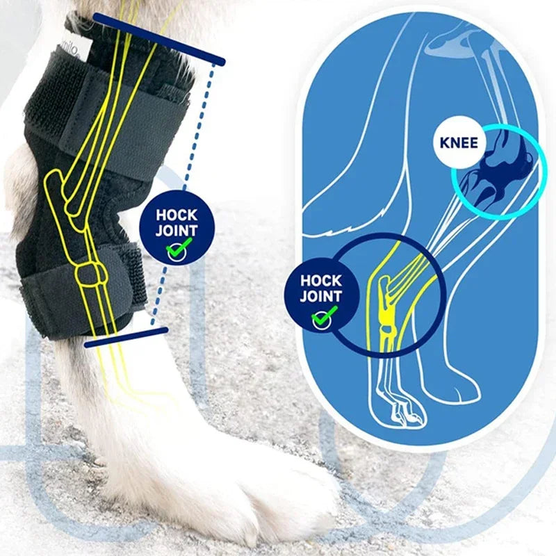 Dog Knee Support Brace for Arthritis and Joint Recovery