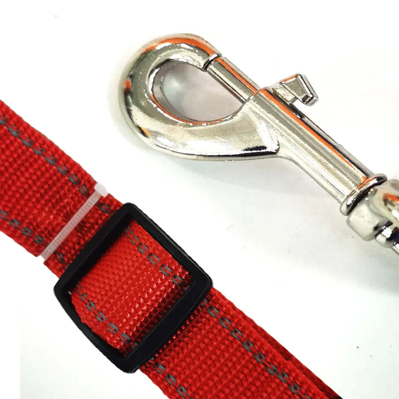 Set de Correas LED para Caballos: Seguridad y Visibilidad Nocturna
