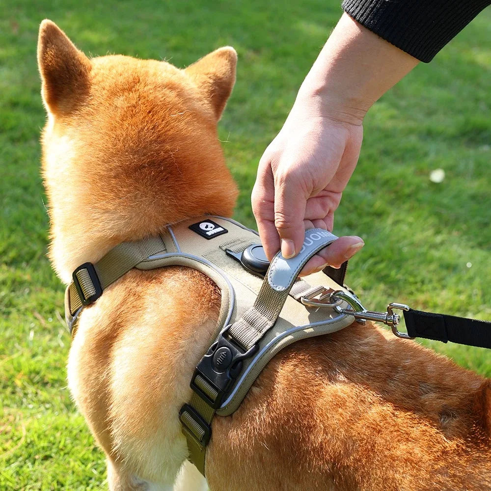 A person is putting a reflective no-pull dog harness with an AirTag holder onto a brown dog.