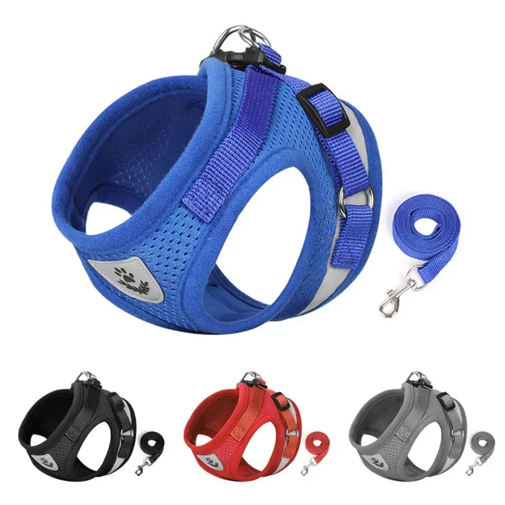 Adjustable Escape-Proof Mesh Harness and Leash Set for Cats and Small Dogs