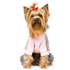 Pet Hair Bows with Rubber Bands - Assorted Styles for Small Dogs and Cats