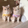 Striped Stretchy Pet Tank Top for Cats and Small Dogs