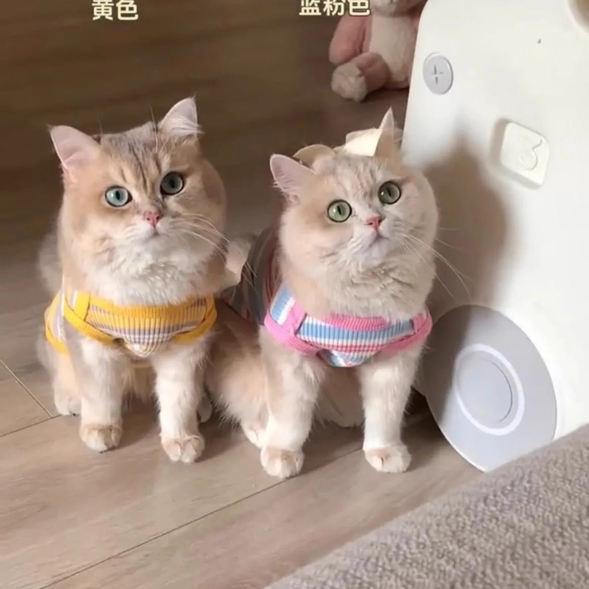 Striped Stretchy Pet Tank Top for Cats and Small Dogs