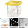 Floating Fish Breeding Box for Aquarium Hatchery & Isolation