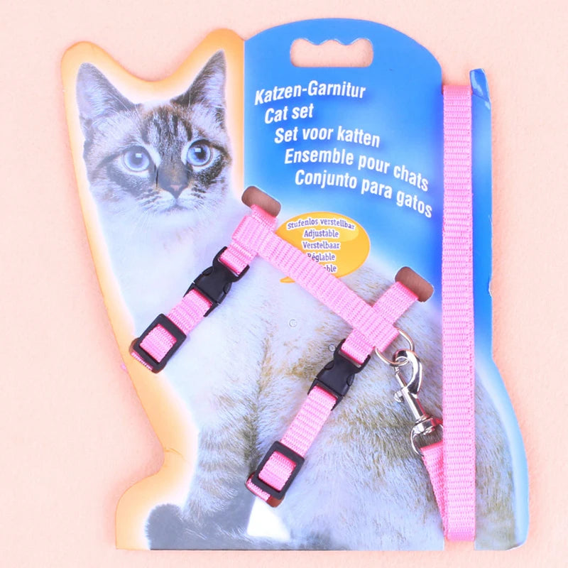 A blue packaging set containing an adjustable pink cat chest strap and leash for a cat.