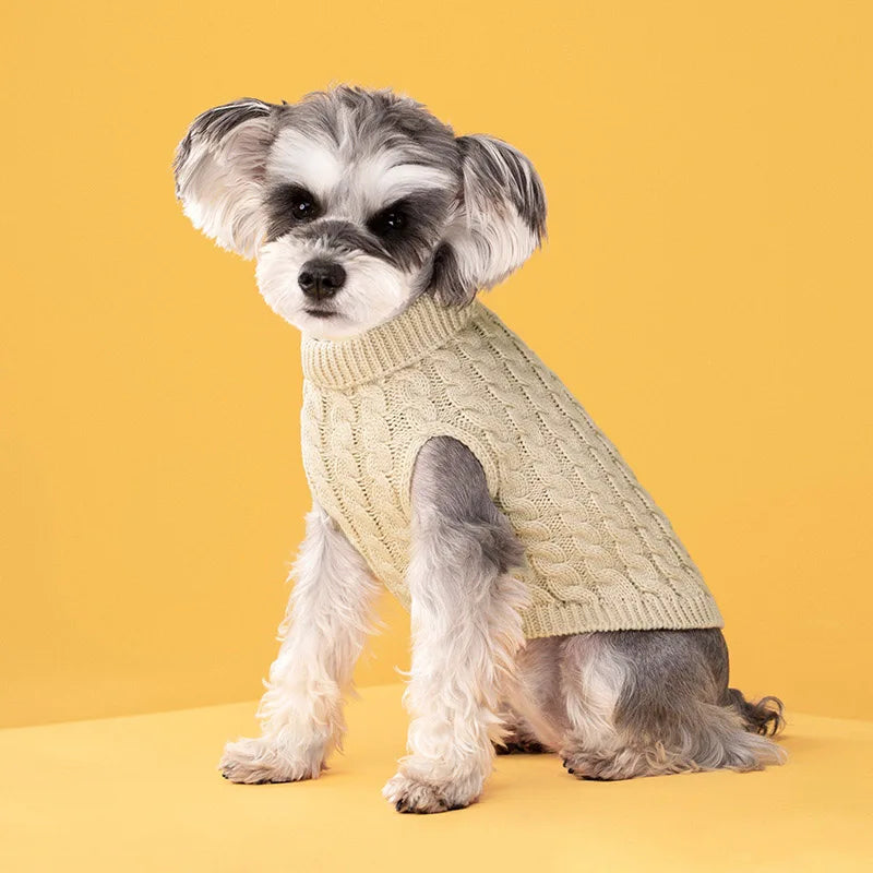 A small, gray and white dog is wearing a beige knit turtleneck sweater against a yellow background.