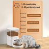 Distributeur de nourriture automatique pour chat avec WiFi et contrôle par application