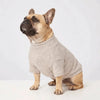Cozy Solid Color Pet Sweater for Small Dogs