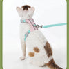 A fluffy white cat wearing a pink harness and attached to a teal leash.
