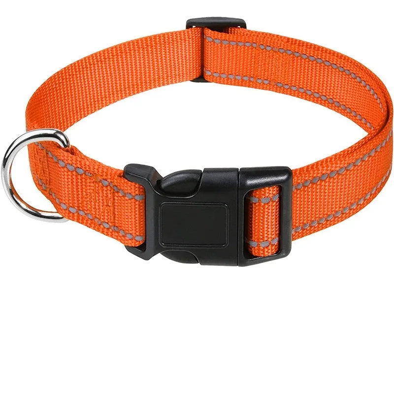 Decorative Nylon Dog Collar with Buckle Closure
