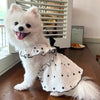 A fluffy white dog wearing an elegant summer dress with black polka dots.