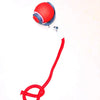 Interactive Rolling Cat Toy with Bird Sounds and Three Play Modes