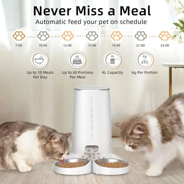 A white automatic pet feeder is shown dispensing dry food into bowls for a cat.