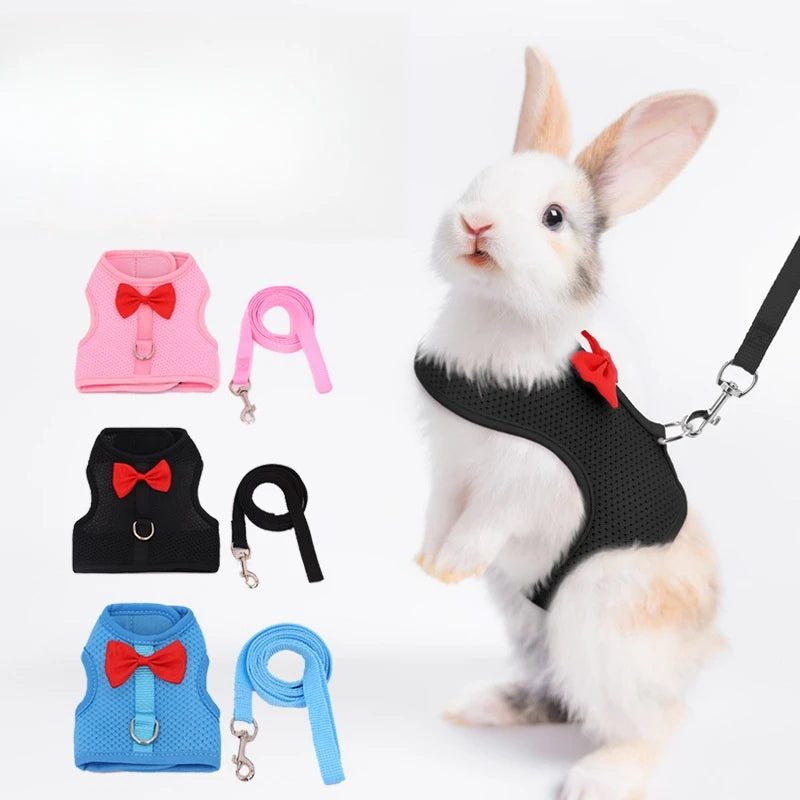 Padded Comfort Leash for Small Pets and Rodents